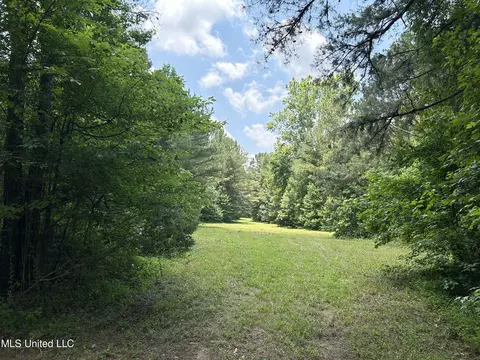 Off County Road 51, Myrtle, MS 38650 photo 8