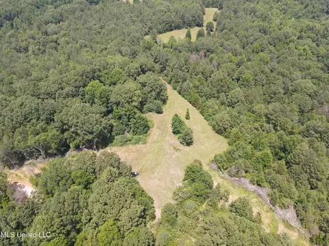 Off County Road 51, Myrtle, MS 38650 photo 39
