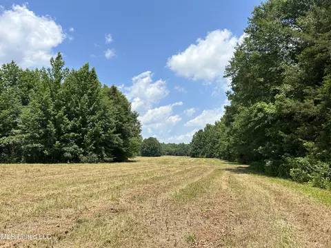 Off County Road 51, Myrtle, MS 38650 photo 13