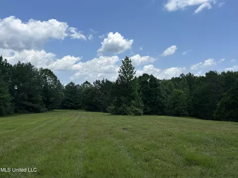 Off County Road 51, Myrtle, MS 38650 photo 31
