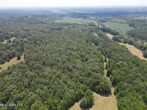 Off County Road 51, Myrtle, MS 38650 photo 42