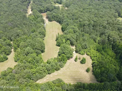 Off County Road 51, Myrtle, MS 38650 photo 45
