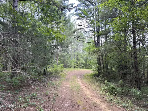 Off County Road 51, Myrtle, MS 38650 photo 5
