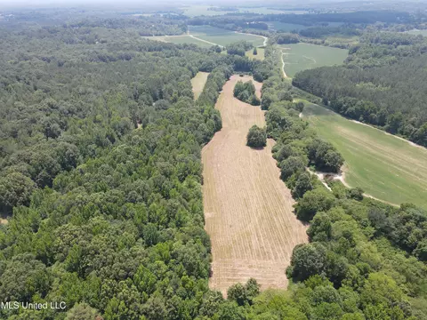 Off County Road 51, Myrtle, MS 38650 photo 43