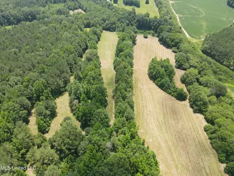 Off County Road 51, Myrtle, MS 38650 photo 44