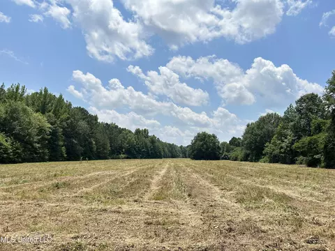 Off County Road 51, Myrtle, MS 38650 photo 15
