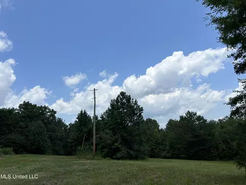 Off County Road 51, Myrtle, MS 38650 photo 28