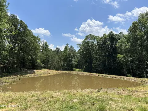 Off County Road 51, Myrtle, MS 38650 photo 16