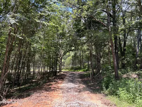 Off County Road 51, Myrtle, MS 38650 photo 4