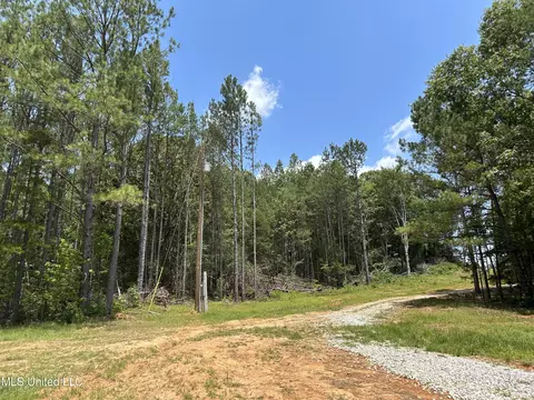 Off County Road 51, Myrtle, MS 38650 photo 2