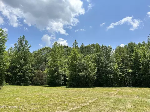 Off County Road 51, Myrtle, MS 38650 photo 9