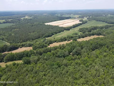 Off County Road 51, Myrtle, MS 38650 photo 49