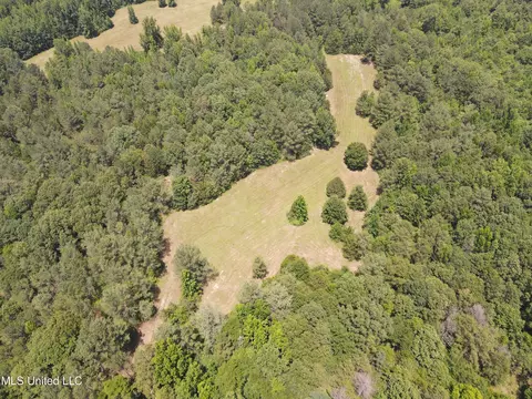 Off County Road 51, Myrtle, MS 38650 photo 40