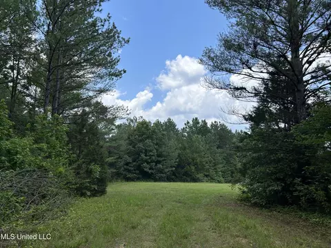 Off County Road 51, Myrtle, MS 38650 photo 30