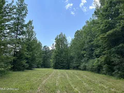 Off County Road 51, Myrtle, MS 38650 photo 36