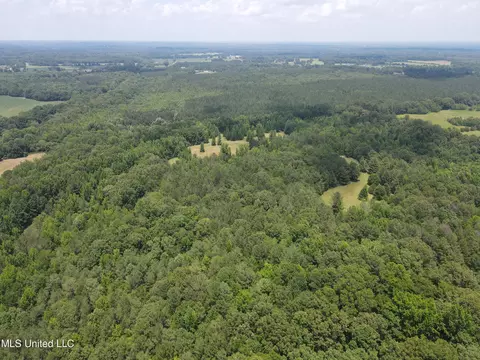 Off County Road 51, Myrtle, MS 38650 photo 48