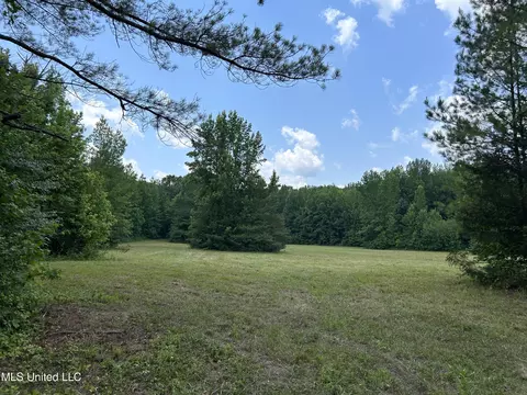 Off County Road 51, Myrtle, MS 38650 photo 34
