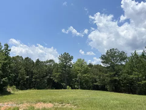 Off County Road 51, Myrtle, MS 38650 photo 25