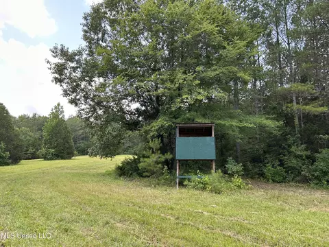 Off County Road 51, Myrtle, MS 38650 photo 33