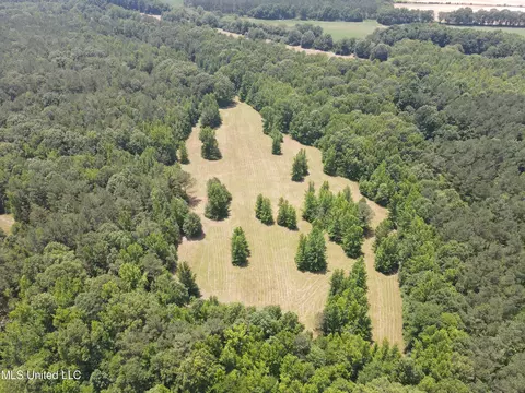 Off County Road 51, Myrtle, MS 38650 photo 41