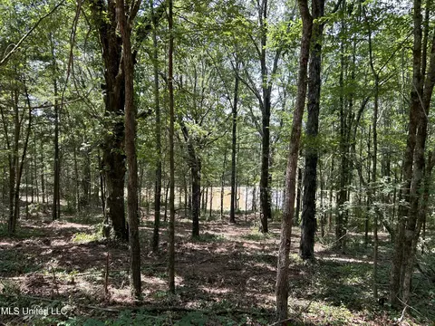 Off County Road 51, Myrtle, MS 38650 photo 26