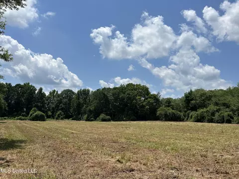 Off County Road 51, Myrtle, MS 38650 photo 11