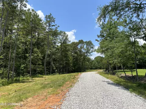 Off County Road 51, Myrtle, MS 38650 photo 3