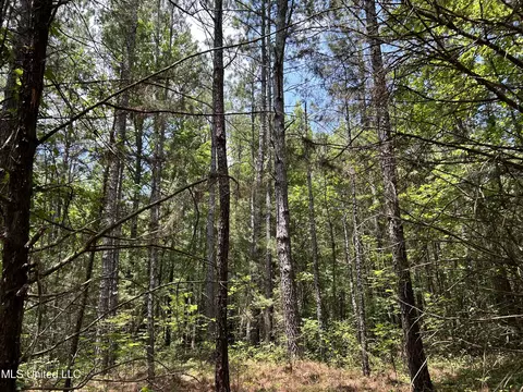 Off County Road 51, Myrtle, MS 38650 photo 23