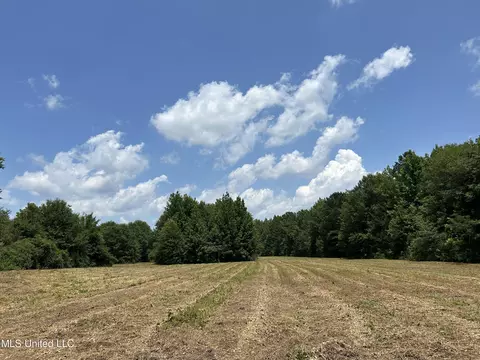 Off County Road 51, Myrtle, MS 38650 photo 12