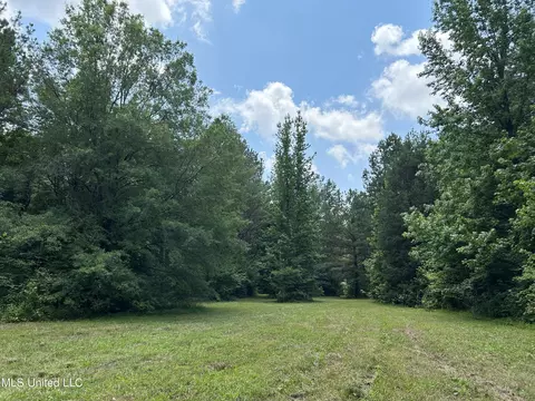 Off County Road 51, Myrtle, MS 38650 photo 7