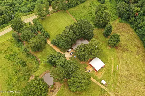 1368 Highway 487 E, Walnut Grove, MS 39189