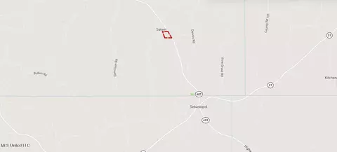 1368 Highway 487 E, Walnut Grove, MS 39189 photo 7