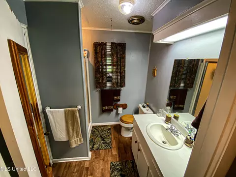 1368 Highway 487 E, Walnut Grove, MS 39189 photo 37