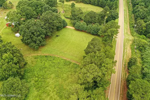 1368 Highway 487 E, Walnut Grove, MS 39189 photo 22