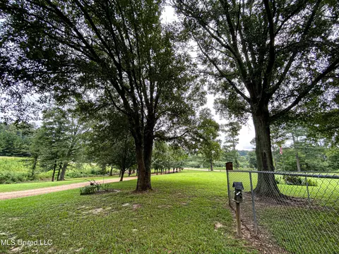 1368 Highway 487 E, Walnut Grove, MS 39189 photo 50