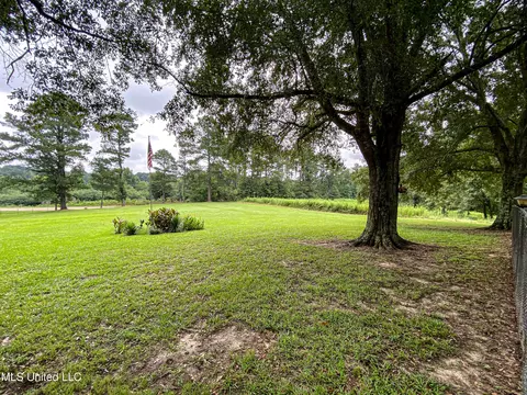 1368 Highway 487 E, Walnut Grove, MS 39189 photo 48