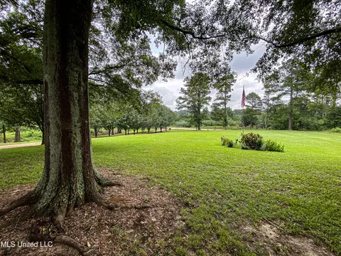 1368 Highway 487 E, Walnut Grove, MS 39189 photo 47