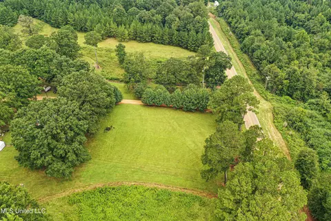 1368 Highway 487 E, Walnut Grove, MS 39189 photo 21