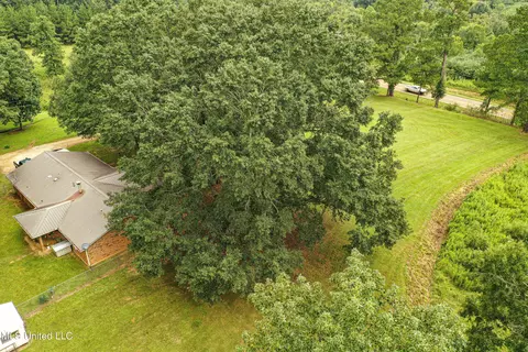 1368 Highway 487 E, Walnut Grove, MS 39189 photo 19