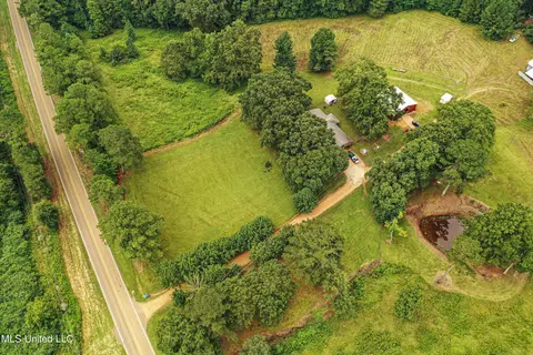 1368 Highway 487 E, Walnut Grove, MS 39189 photo 13