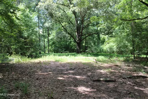 4003 Perry Creek Rd, Bentonia, MS 39040