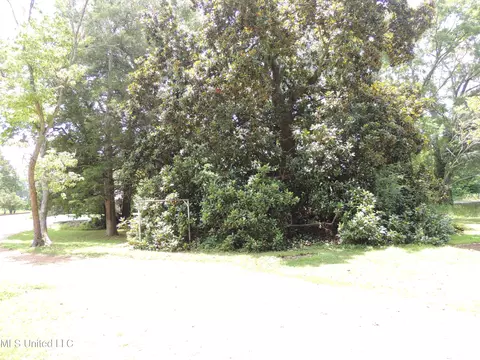 1006 Love Rd, Hernando, MS 38632 photo 6