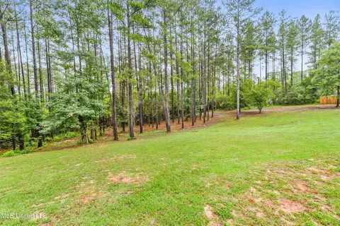 View/Area - 131 Sandstone Rdg, Lucedale, MS 39452 photo 1 of 2