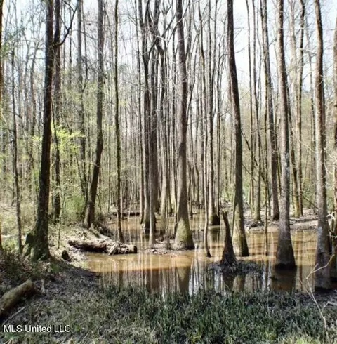 Walnut Road, Carthage, MS 39051 photo 4