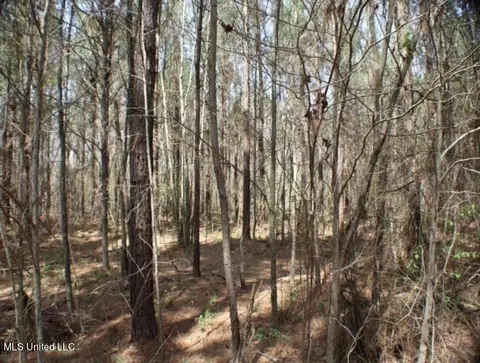 Walnut Road, Carthage, MS 39051 photo 5
