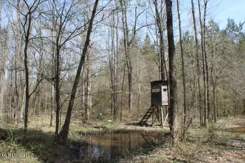 Walnut Road, Carthage, MS 39051 photo 3