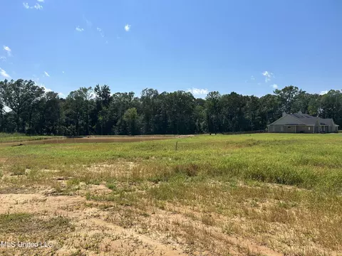 Richburg Court, Pearl, MS 39208