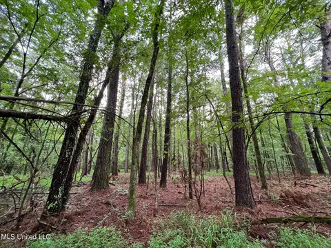 Hill Street, Holly Springs, MS 38635