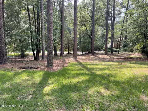 Rice Road, Madison, MS 39110 photo 2