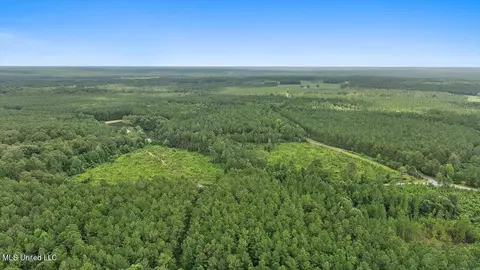 Cephus Williams Road, Silver Creek, MS 39663